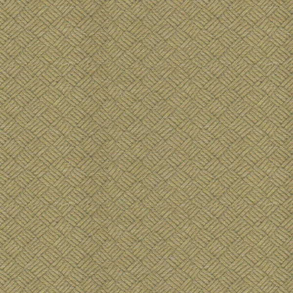 Fiji Ruby Fabric |#| 