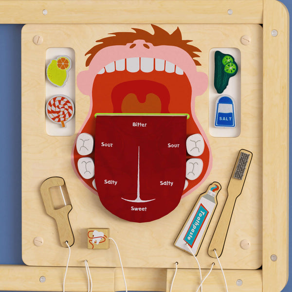 Commercial Grade STEAM Wall Wooden Dental Hygiene Accessory Board - Multicolor