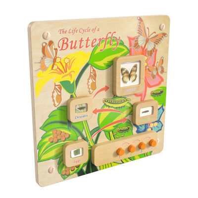 Bright Beginnings Commercial Grade Wooden Butterfly Life Cycle STEAM Wall Accessory Board