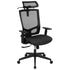 Ergonomic Mesh Office Chair with Synchro-Tilt, Pivot Adjustable Headrest, Lumbar Support, Coat Hanger and Adjustable Arms