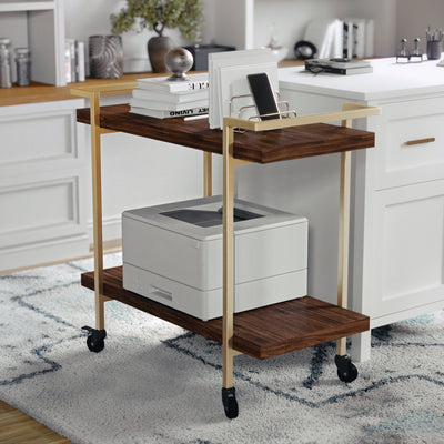 Liam 2-Tier Office Storage and Printer Cart with Metal Frame