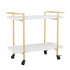 Liam 2-Tier Office Storage and Printer Cart with Metal Frame