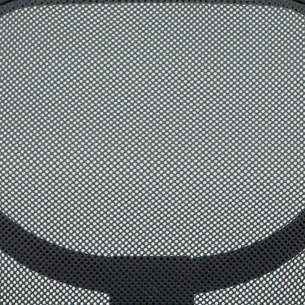 White |#| Low Back White Transparent Mesh Back Adjustable Height Swivel Task Office Chair